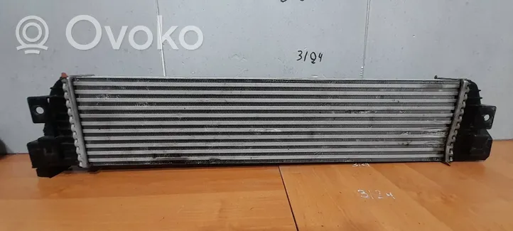 Renault Master III Intercooler radiator 