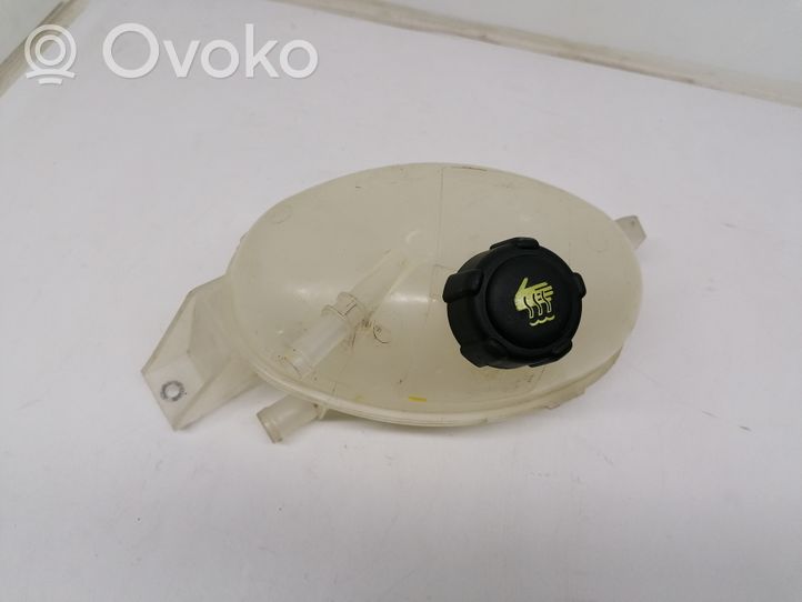 Renault Master III Coolant expansion tank/reservoir 217100015R