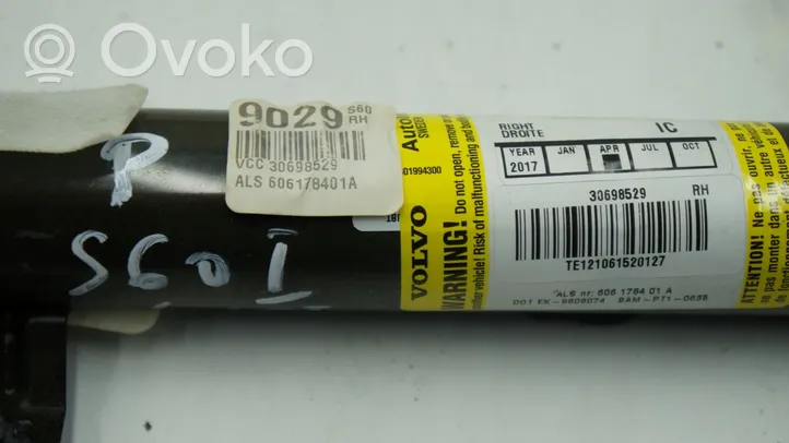 Volvo S60 Stogo oro pagalvė (užuolaida) 30698529