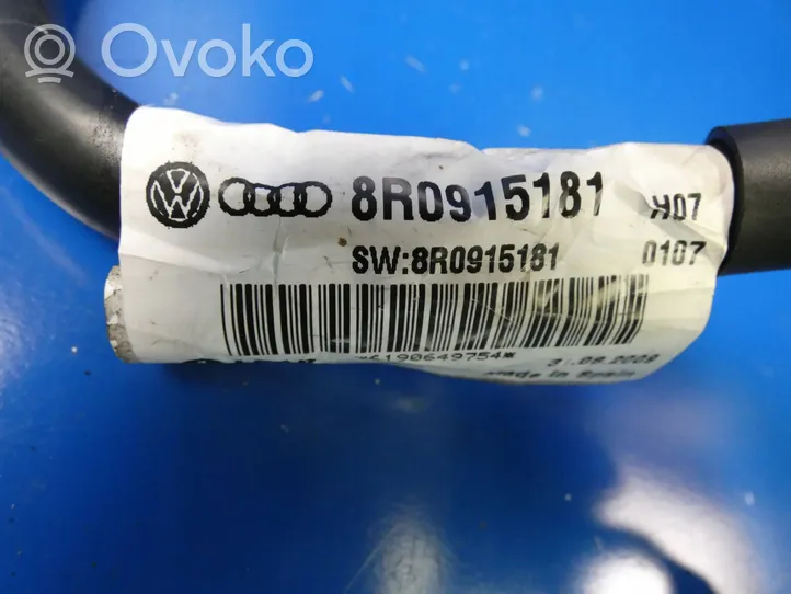 Audi Q5 SQ5 Minusinis laidas (akumuliatoriaus) 8R0915181