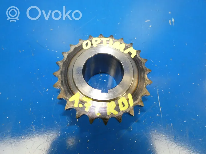 KIA Optima Timing chain sprocket 