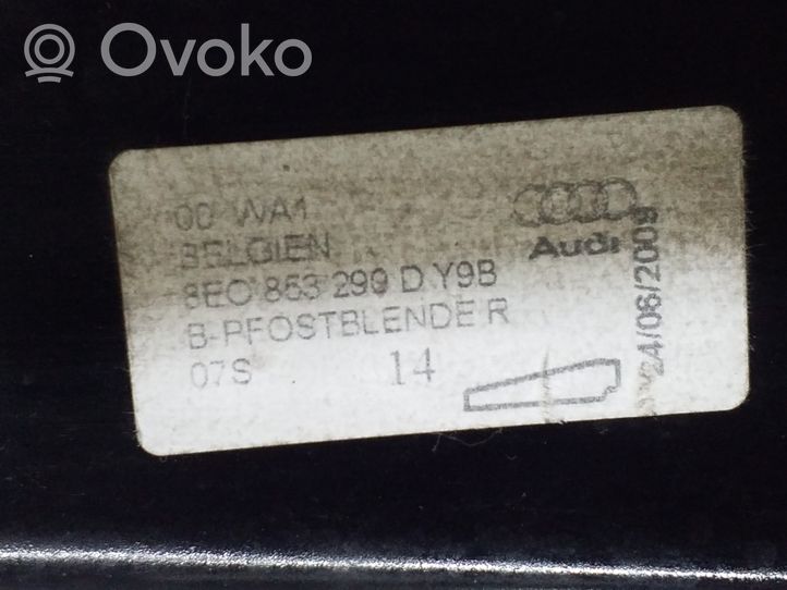 Seat Exeo (3R) Kita išorės detalė 8E0853290D