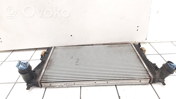 Volkswagen Tiguan Radiatore intercooler 3C0145805AD