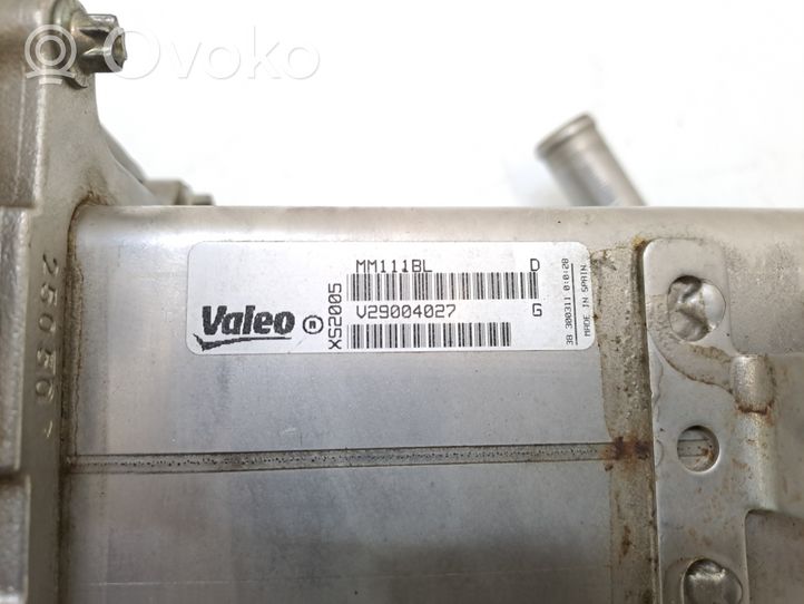 Ford S-MAX Valvola EGR V29004027