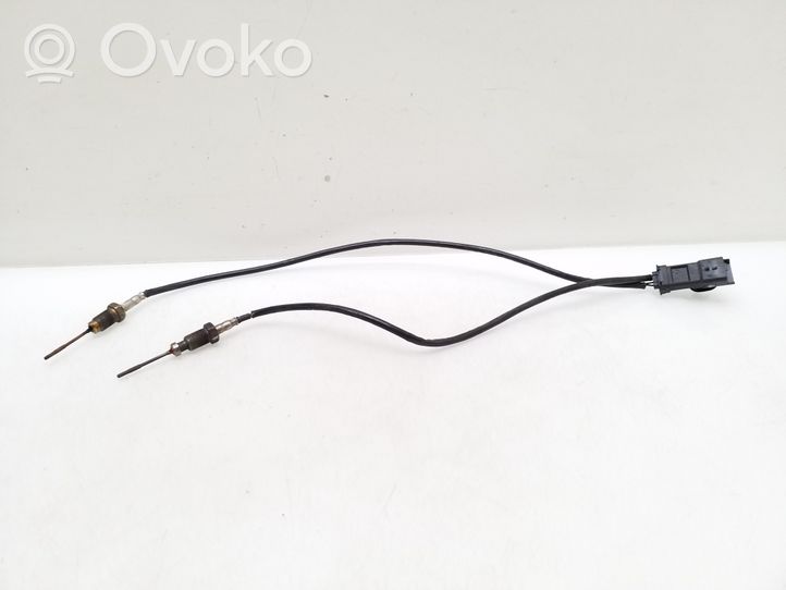 Peugeot Expert Izplūdes gāzu temperatūras sensors 9807562280