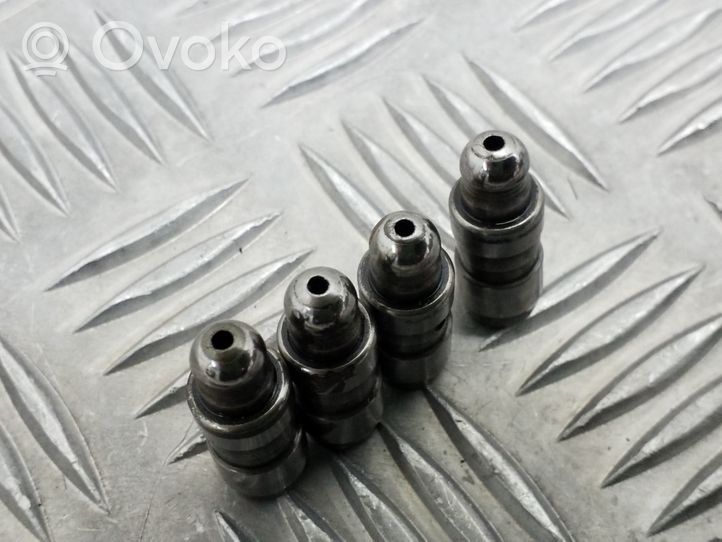 Volkswagen PASSAT B7 Tappets lifter 