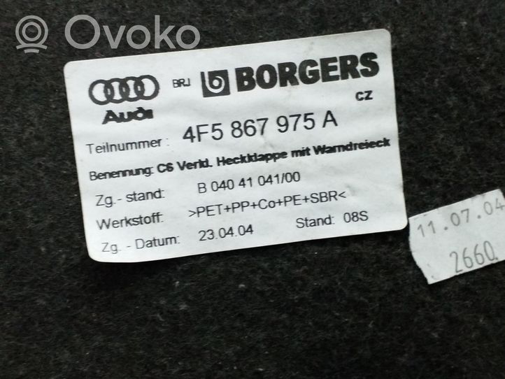 Audi A6 S6 C6 4F Pagrindinis apdailos skydas 4F5867975A