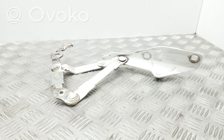 Audi TT TTS Mk2 Cerniere del vano motore/cofano 8J0823301H