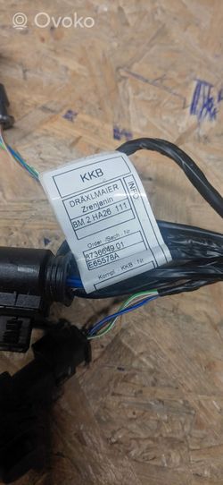 BMW 2 F44 Conector de radio EUR ISO 8736649