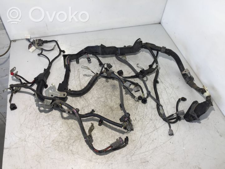 Toyota Yaris Faisceau de câblage pour moteur 828150D420