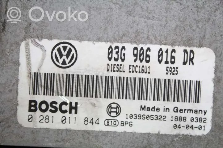 Volkswagen Touran I Unité de commande, module ECU de moteur 03G906016DR