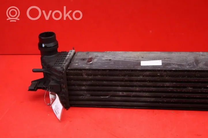 Renault Laguna III Chłodnica powietrza doładowującego / Intercooler RENAULT