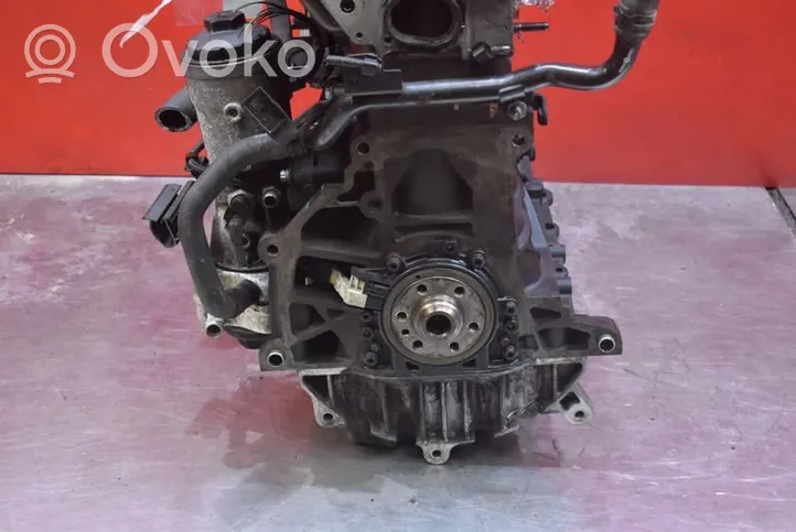 Volkswagen PASSAT B5.5 Engine BKC
