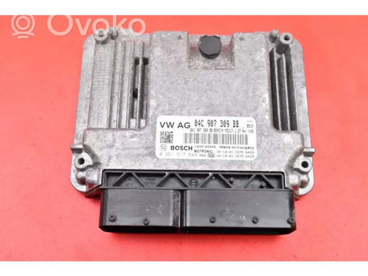 Skoda Fabia Mk3 (NJ) Unité de commande, module ECU de moteur 04C907309BB