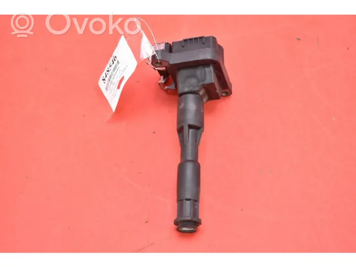 BMW 5 E39 High voltage ignition coil 1703227