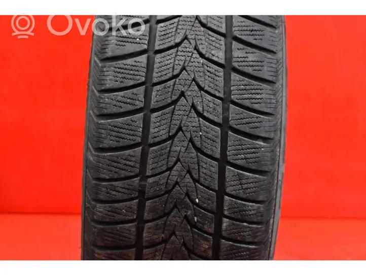 BMW 5 E39 R17 winter tire BMW