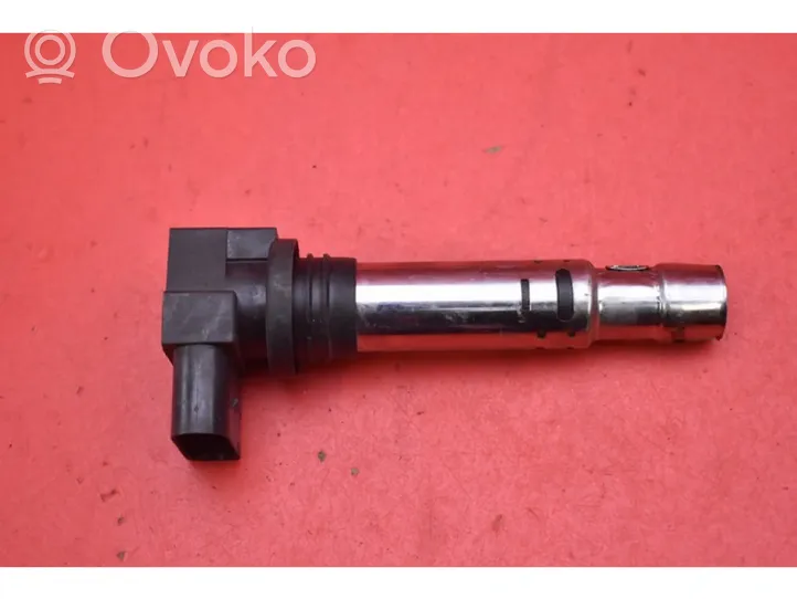 Skoda Fabia Mk1 (6Y) High voltage ignition coil 0040102030