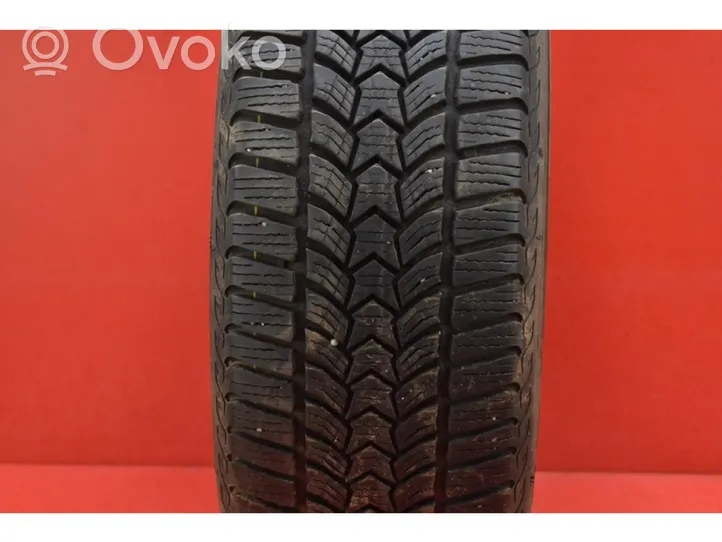 Ford Focus R17 winter tire 