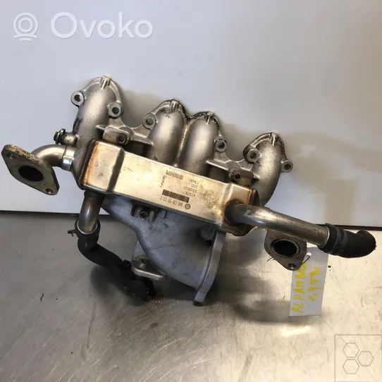 Volkswagen Sharan Termostat EGR 038131513P