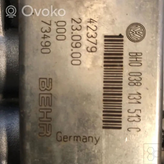 Volkswagen Sharan Termostato EGR 038131513P