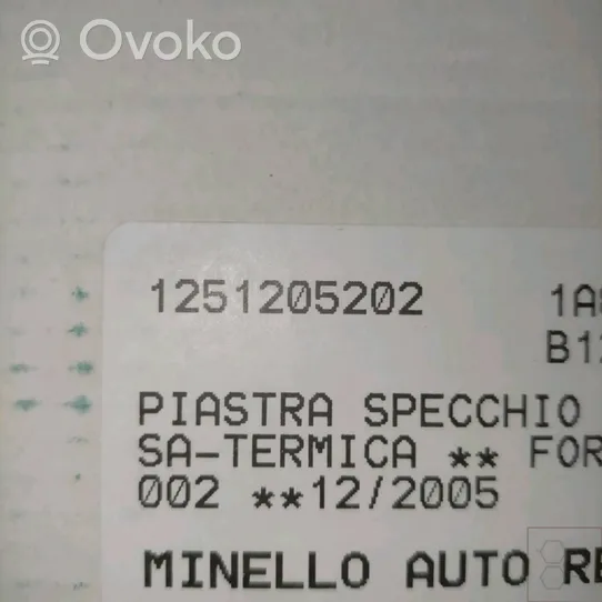 Ford Fiesta Vetro specchietto retrovisore 1145850