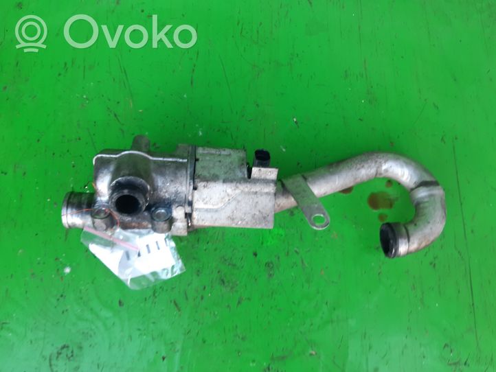 Nissan Almera N16 EGR-venttiili  8200253725