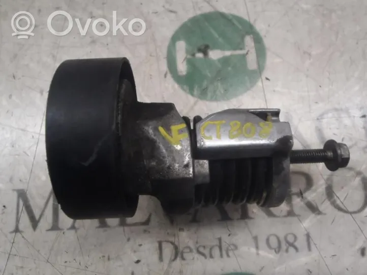 Skoda Fabia Mk2 (5J) Napinacz paska alternatora 038903315AH