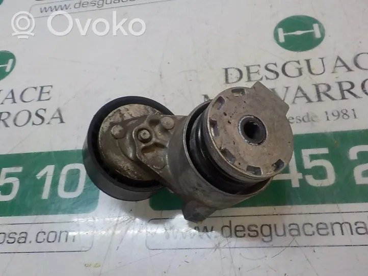 Dacia Dokker Generator/alternator belt tensioner 117501113R