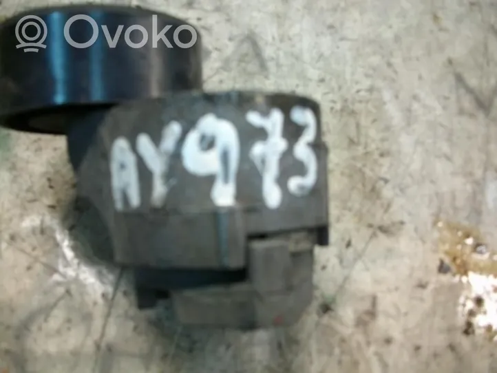 Iveco Daily 45 - 49.10 Napinacz paska alternatora 