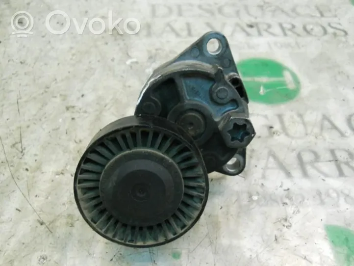 Hyundai Terracan Tendicinghia generatore/alternatore 252814X000