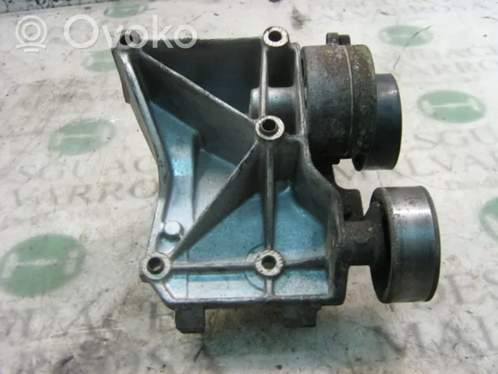 Peugeot 206 Tendicinghia generatore/alternatore 