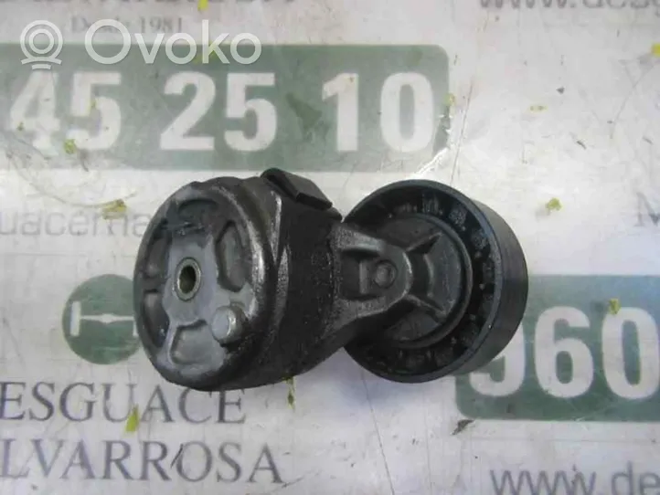 Iveco Daily 45 - 49.10 Napinacz paska alternatora 