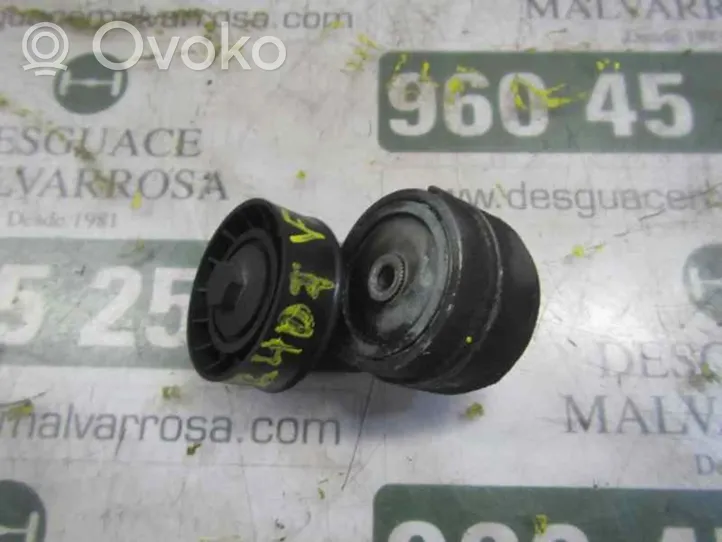 Iveco Daily 45 - 49.10 Tendicinghia generatore/alternatore 