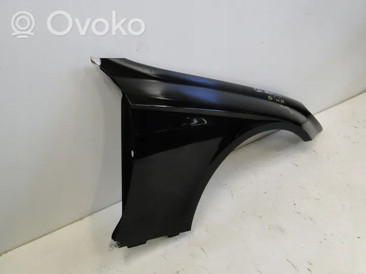 Mercedes-Benz CLS C219 Fender A2198800218