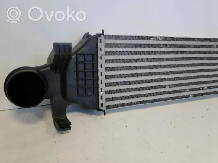 Mercedes-Benz CLA C117 X117 W117 Starpdzesētāja radiators A2465000100