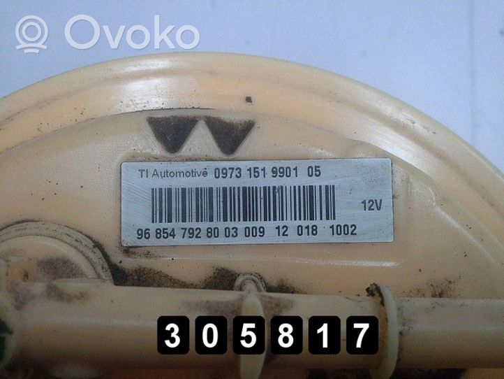 Citroen C3 Pompa wtryskowa wysokiego ciśnienia 968547928003009