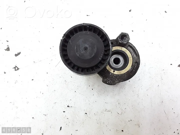 Renault Scenic RX Generator/alternator belt tensioner 