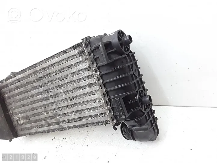 Ford Transit -  Tourneo Connect Radiatore intercooler 