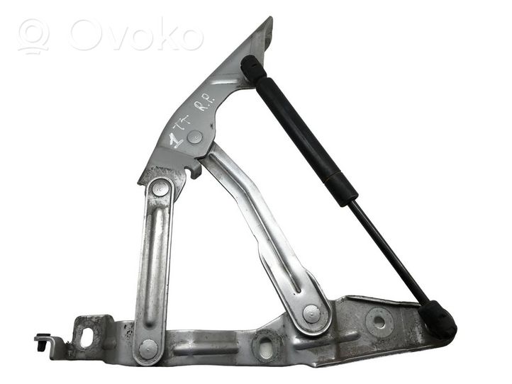 Audi TT Mk1 Cerniere del vano motore/cofano 8N0823302