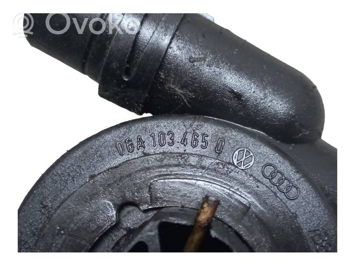 Volkswagen Bora Zawór odpowietrzający 06A103465