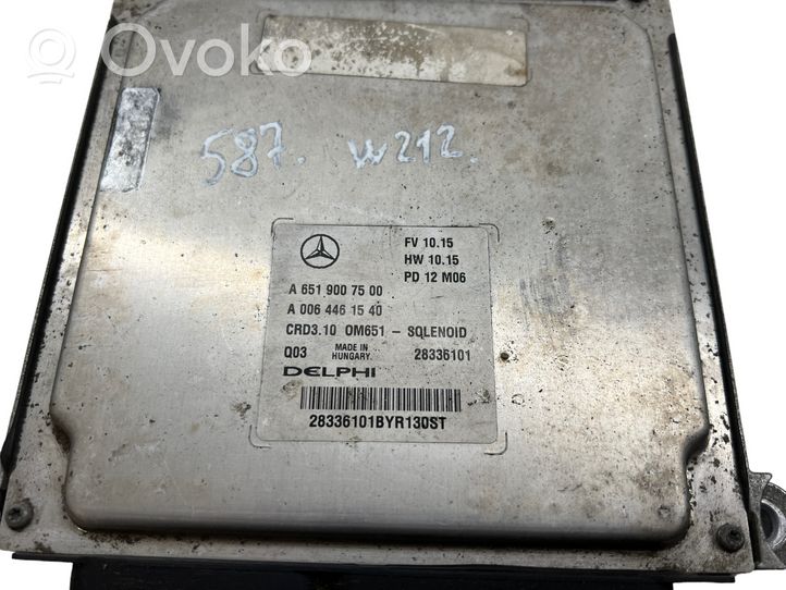Mercedes-Benz E AMG W212 Calculateur moteur ECU A6519007500