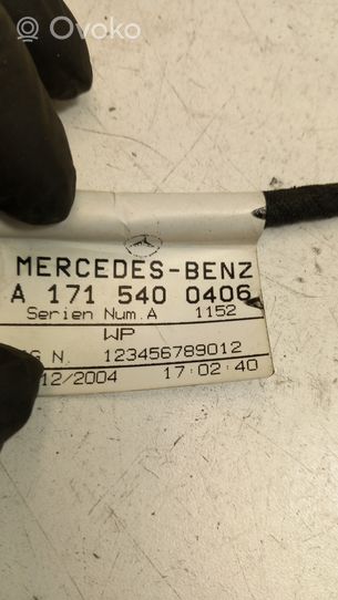 Mercedes-Benz SLK R171 Muu johtosarja A1715400406