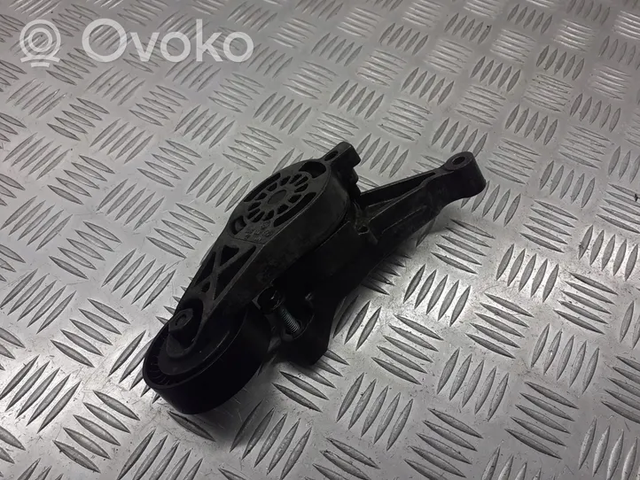 Volkswagen Sharan Koło pasowe napinacza paska alternatora 03G903315D