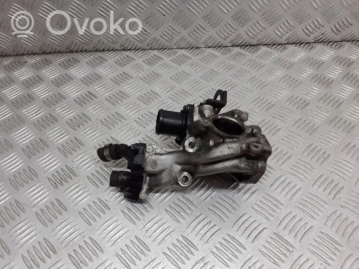 Nissan Kubistar Valvola EGR 