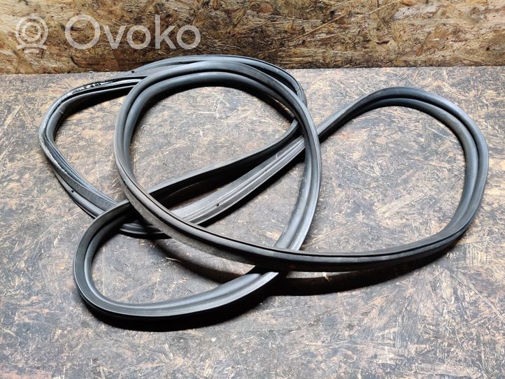 Ford Focus Trunk rubber seal (body) 