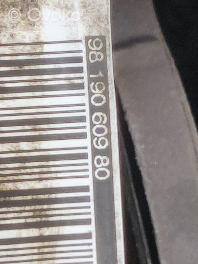 Citroen DS7 Crossback Pinza del freno posteriore 9819060980