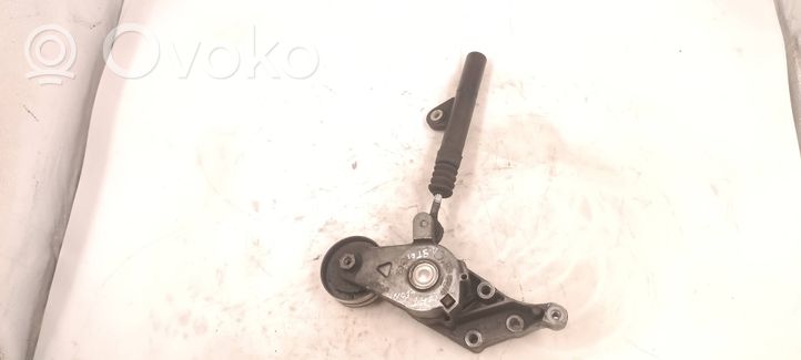 Seat Leon (1M) Tensor de correa del alternador 04343010001