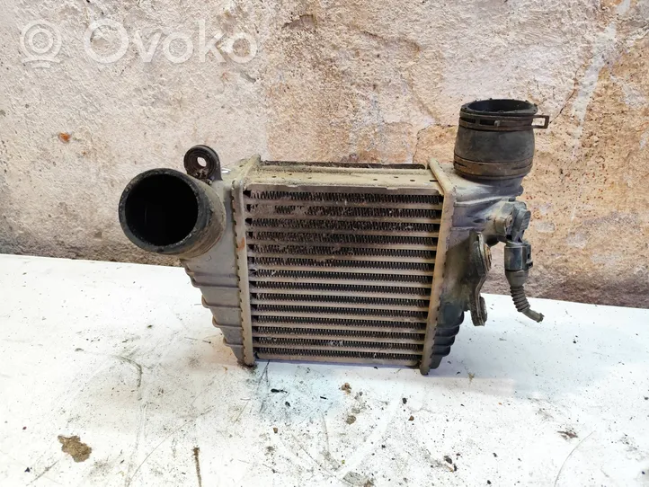 Seat Leon (1M) Chłodnica powietrza doładowującego / Intercooler 038906051