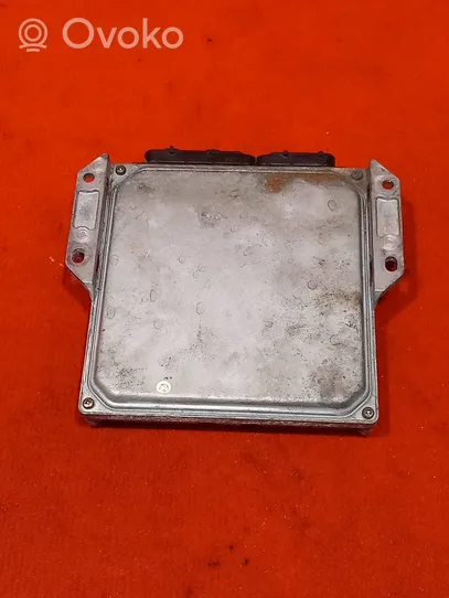 Opel Signum Sterownik / Moduł ECU 8973192743