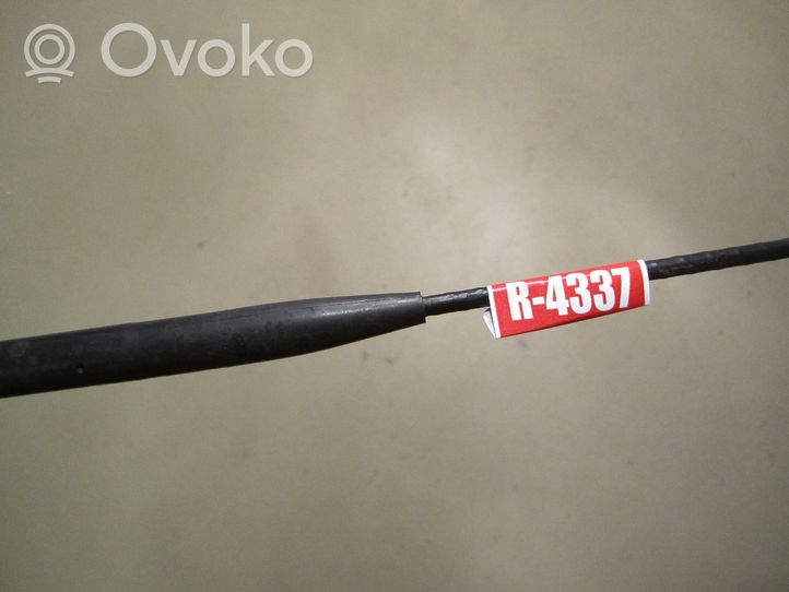 Volkswagen PASSAT B5 Radio antenna 